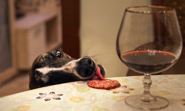 Хозяин, а закусить?