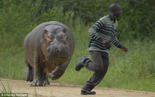 When he told her to never wear leggings again. - hippopotamus, Pampushkas