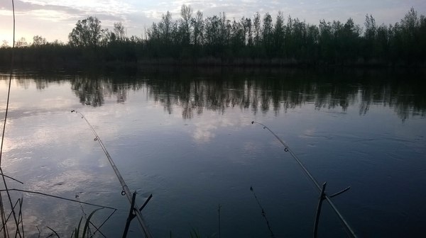   , , ,  , 
