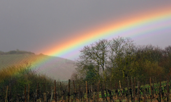 Rainbow