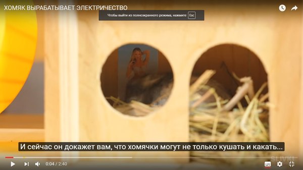 SlivkiShow )