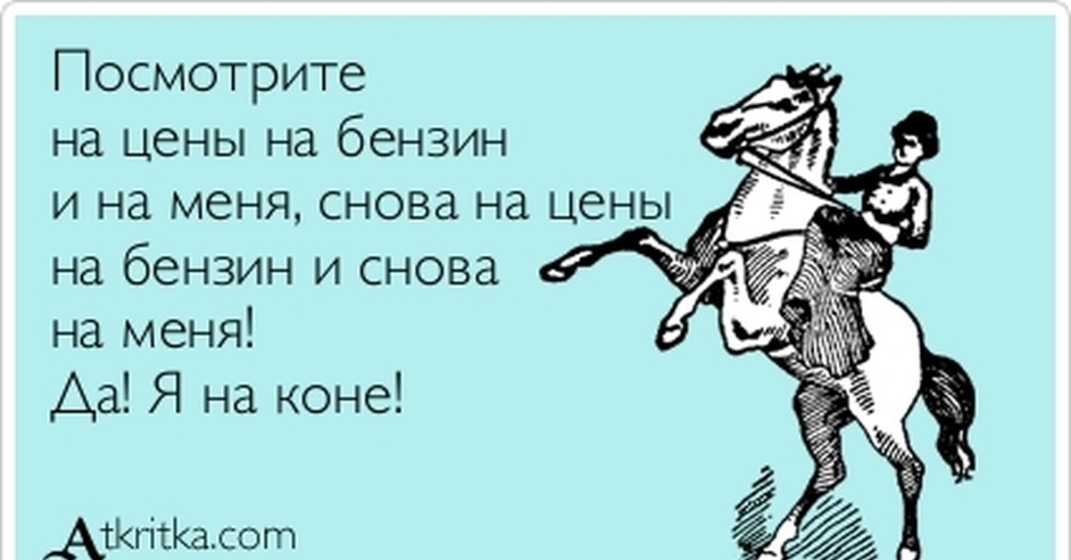 Хочу быть лошадью. Лошадь прикол. Я на коне. На коне выражение. Всегда на коне фраза.