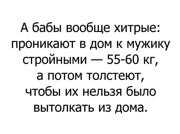 Хитрые бабы - Хитрость, Бабы, Юмор, Прикол, Толстушки, Женщины, Полнота