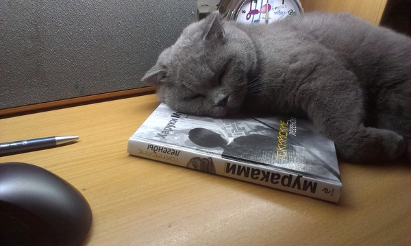 Literary - My, cat, Haruki Murakami, Literature