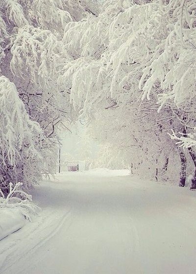 Zimushka) - Winter, beauty, Snow, Crunch