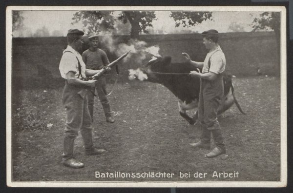 Батальонный мясник за работой.