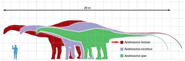 Dinosaurs m/f Land before the beginning of time. - My, Dinosaurs, Paleontology, Earth before the beginning of time, Cartoons, Longpost