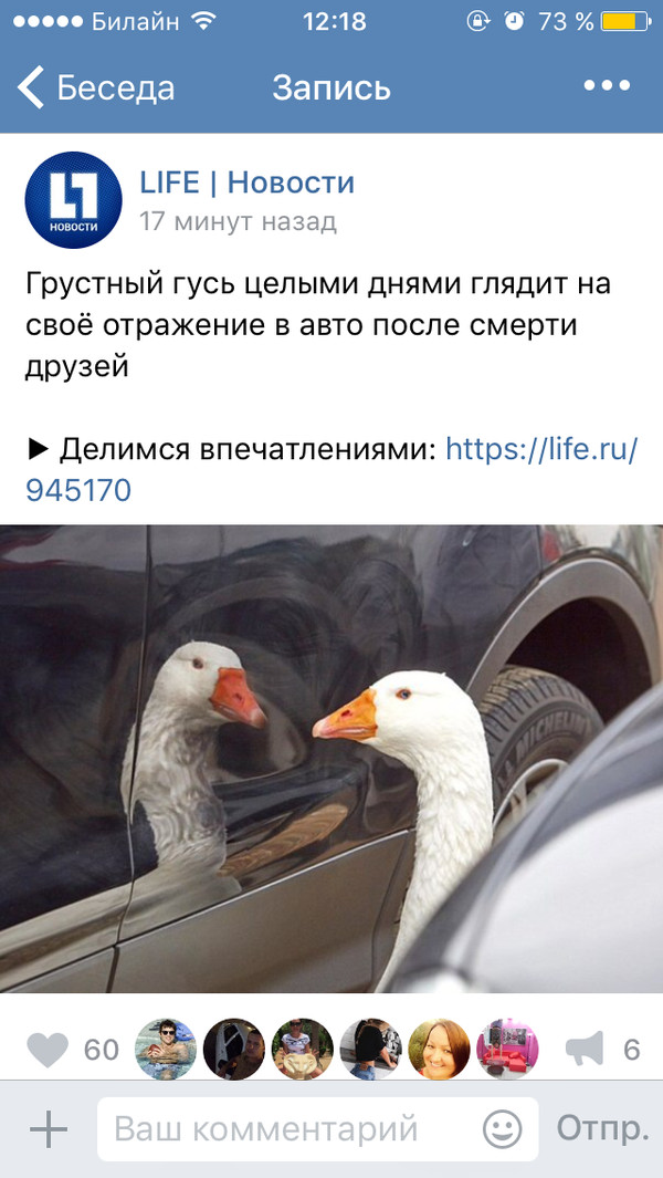 � ���� ����� ���� ��������