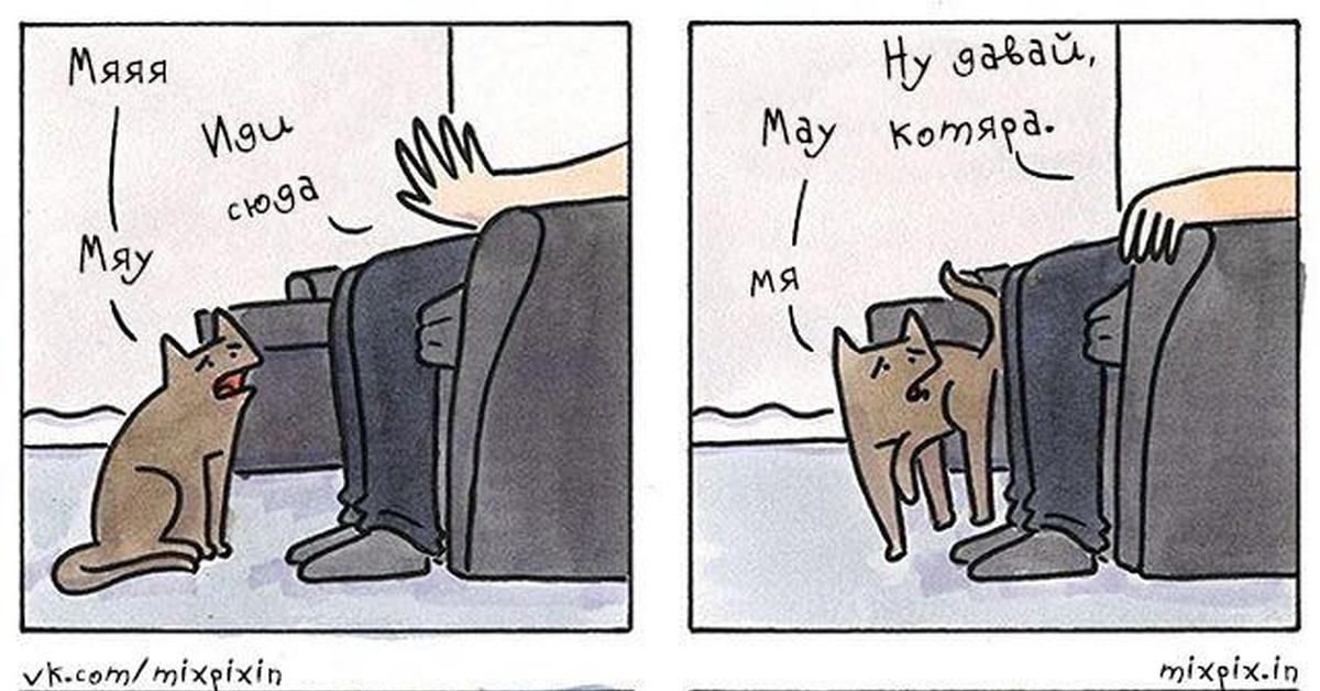 Мир жрать спать картинка