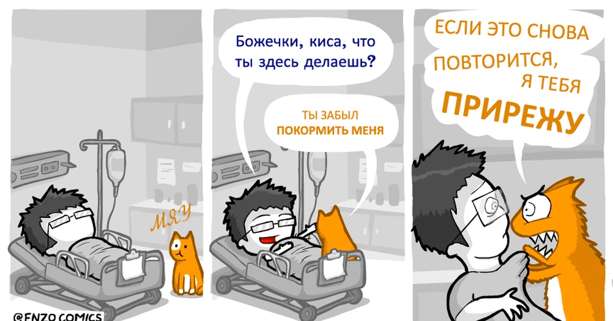 Если сема вопит котоняня его покормить. Забыл покормить кота. Накорми кота. Покорми кота комикс. Покорми кота Мем.