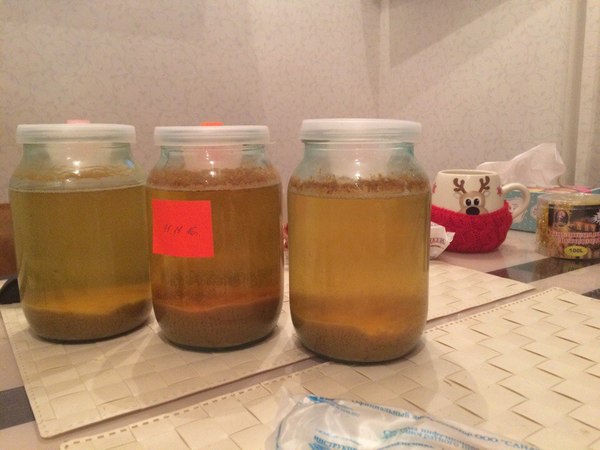 Home cider. - My, Cider, , Fermentation, Winter, Happened, My, Longpost