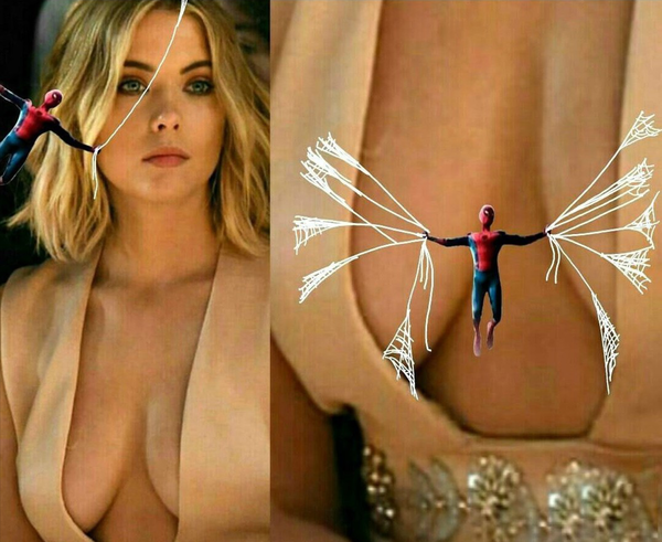 ����� �� ��������� ����� �������