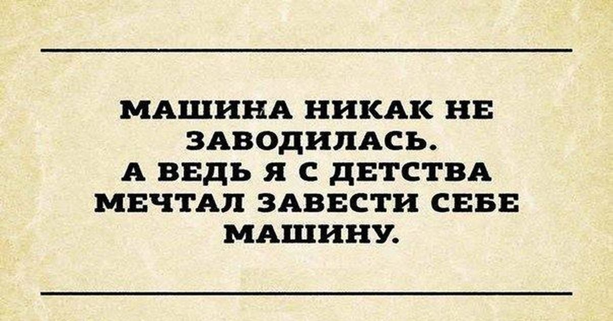 Самочки любого возраста мечтают о сексе