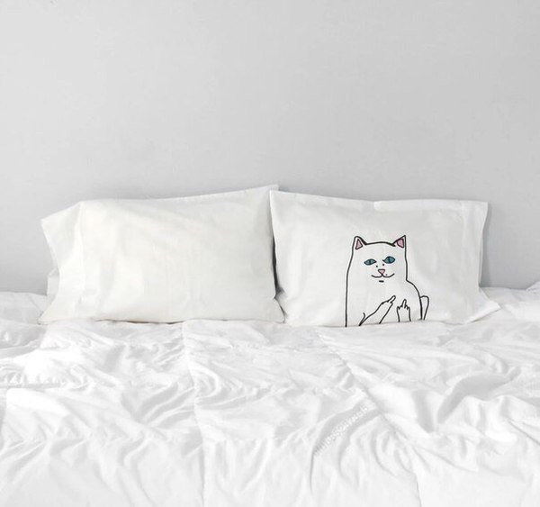 I want this bed. - Bed, cat