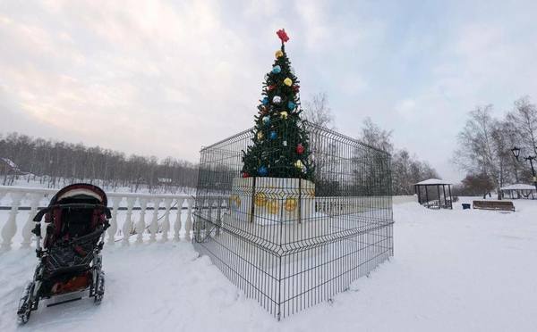 Under what article was the Christmas tree planted? - Christmas trees, Marasmus, Dolgoprudny, Prison