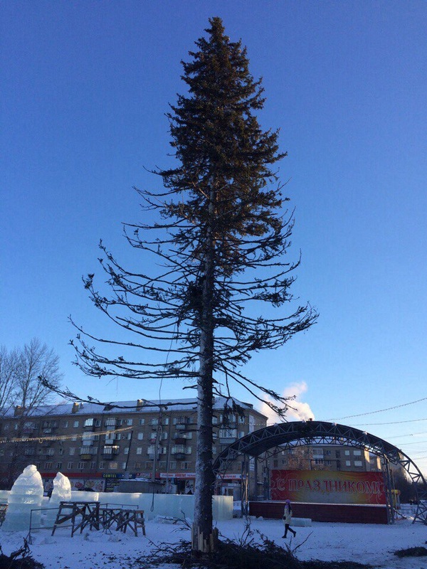 Here is a Christmas tree put in my city on the main square. Kopeysk. - My, Kopeysk, Christmas tree, Holidays, New Year