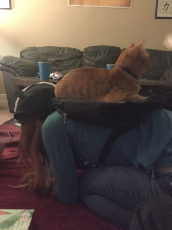 "������ ����� � ��������� ������� � ����� ���������. ������� ��� ��� � �� ���������"