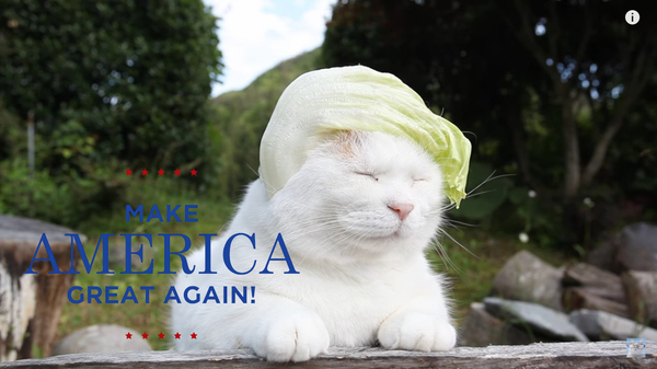 Make america great again