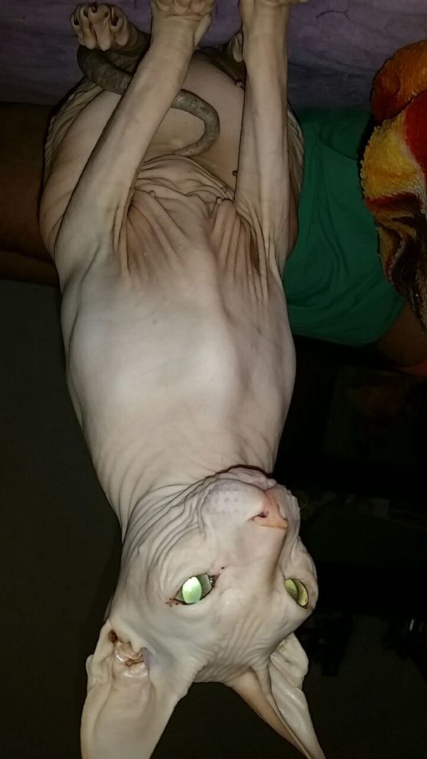 ������� ���..