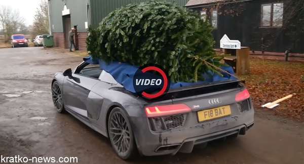 Have you already bought a tree? - My, Audi r8, Christmas trees