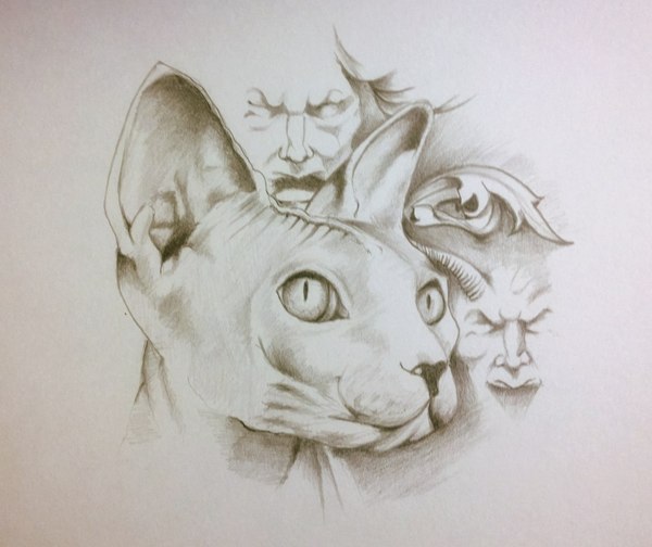 When you don’t want to sleep at night, he called night demonokotism))) - cat, Demon, Graphics, Pencil, Drawing, My