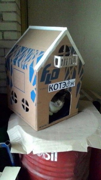 House for Kote.. - cat, House