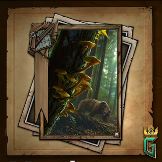 Stones are good, but gwint cards are good - Gwent, Witcher, Games, Kki, Art, Longpost