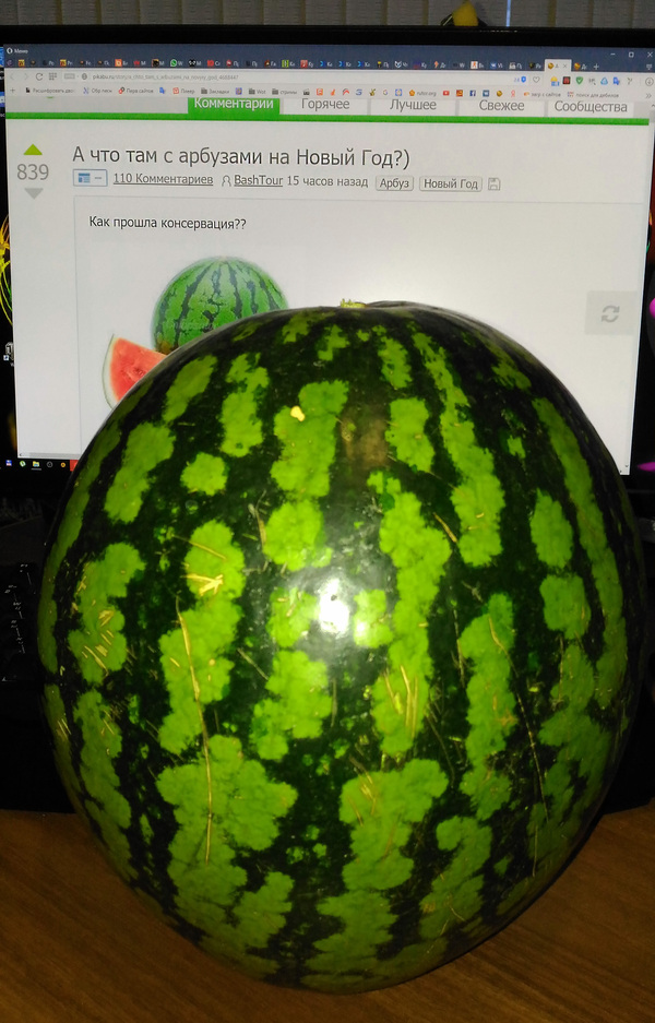 In response to the post - My, Reply to post, Watermelon, Winter, New Year