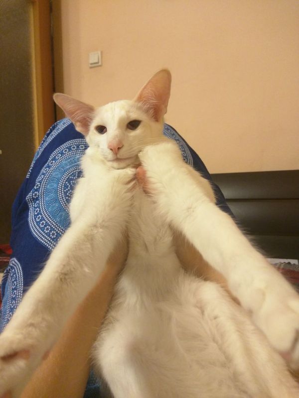   ,     :     .   ,       )