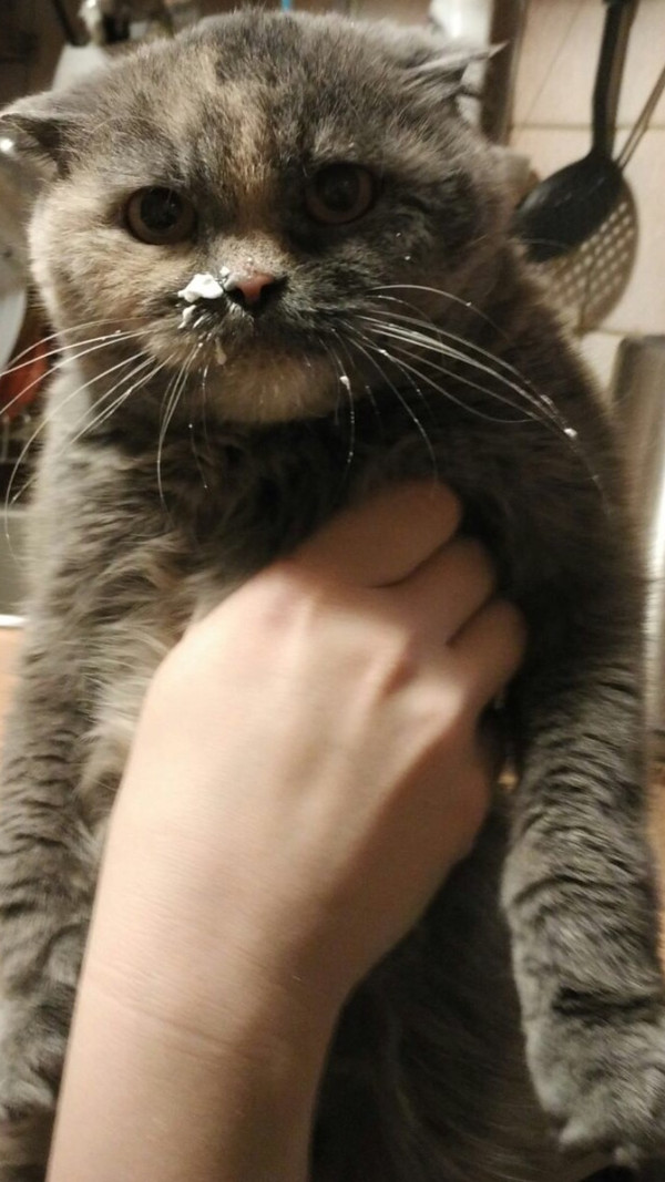 �������� ���������:(