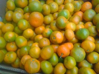 Tangerine power, tangerine passion. - My, Tangerines, New Year, Passion, , , Purchase, Excursion, Longpost