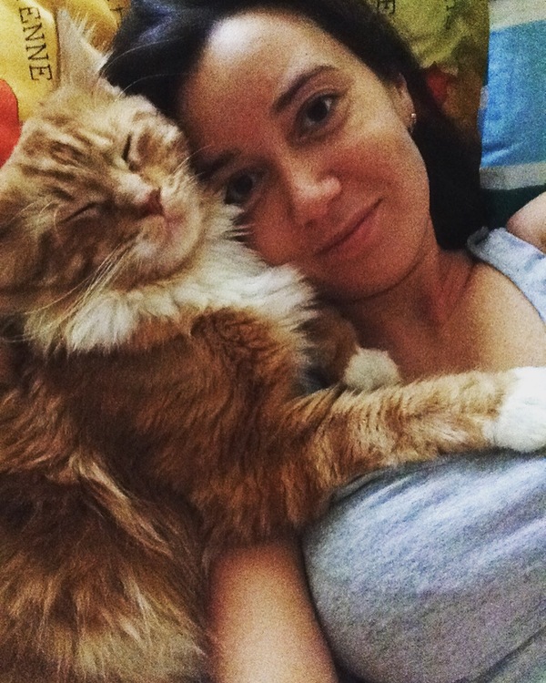 This red face - Redheads, My, cat, , Maine Coon