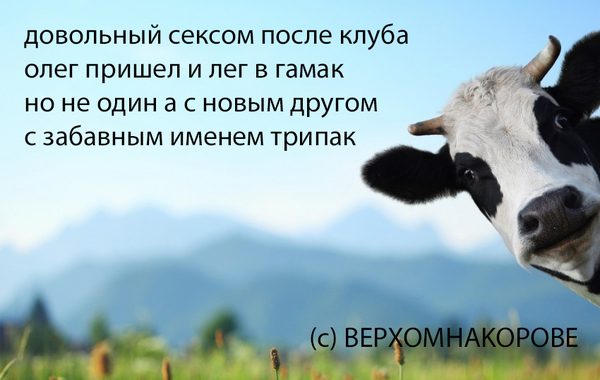 Выпуск №3 о случайных связях и крепкой дружбе - Секс, Пирожки, Моё, Всадник, Улыбнись