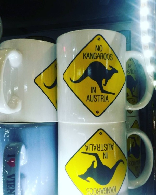 Кенгуру в Австралии.