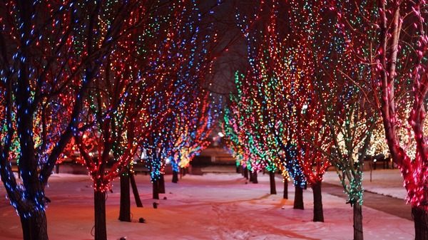Are you already in the Christmas spirit? - Garland, Winter, Holidays, Lights, Night, Alley