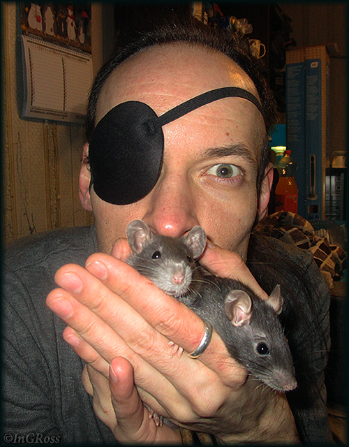 Из Владимира, в Санкт Петербург, проездом, через "приют" Росса и Мальвы.