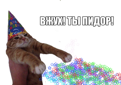 Битва года - Вжух, Магия, Кот, Мат