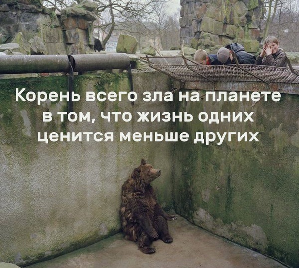 Корень зла..