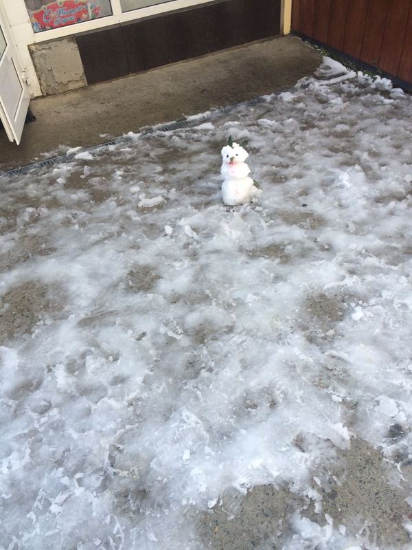 ��������� ��������