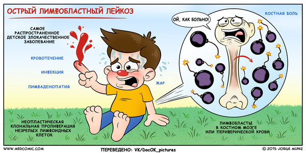 Acute lymphoblastic leukemia - The medicine, Comics, Oncology, , Informative, Blood, Medical student, Hematology