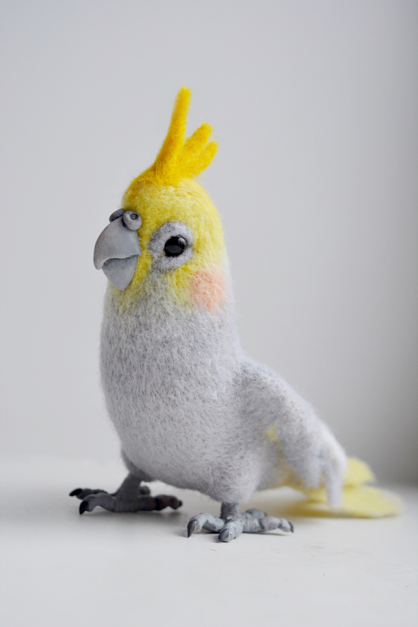 Corella wool parrot - My, Wool, Wallow, Needlework, Felt, Wool toy, A parrot, Corella, Longpost