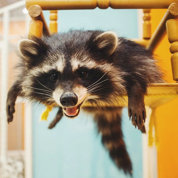 ������ ������ � ������ � ����� ������� ������!