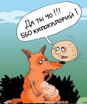 Ìèôû ïðî ïîõóäåíèå! (èëè "î, Áîæå, ÷òî æå òåïåðü äåëàòü?") Ïîõóäåíèå, Ïèòàíèå, Ìèôû, Êàëîðèè, ÁÆÓ, Äèåòà, Äëèííîïîñò
