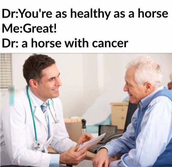 healthy as a horse - 9GAG, Memes