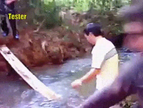 IT .