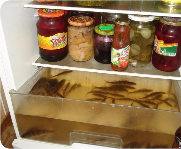 Холодильник настоящего рыбака