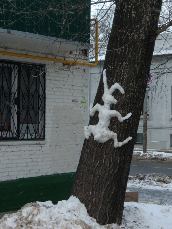 Jumped - Hare, Snow, Blinded, Tree