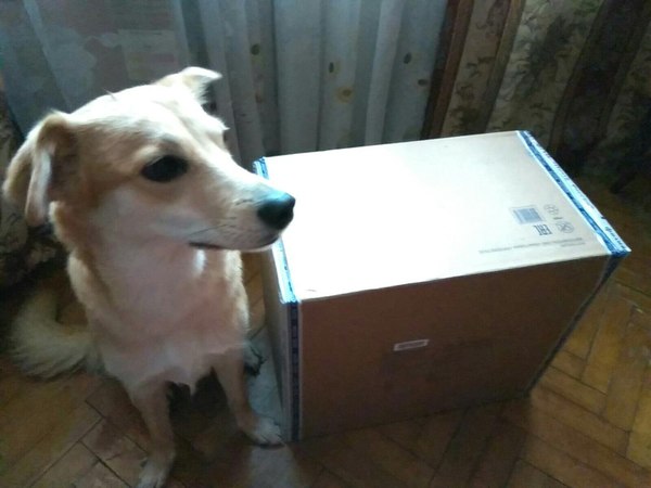 Новогодний обмен. Новый Год, Обмен подарками, Вкусняшки, Длиннопост