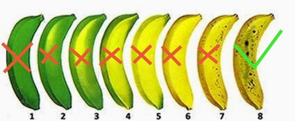 5 facts about overripe bananas that make me understand monkeys - Text, Banana, Health, Translation