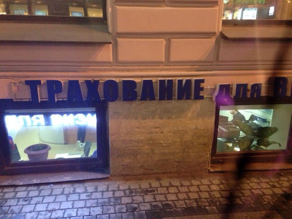 Застрахуют по полной